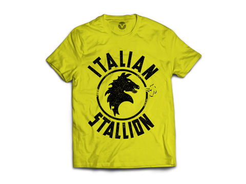 CAMISETA ROCKY BALBOA ITALIAN STALLION #2