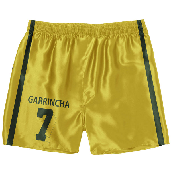 SAMBA CANÇÃO GARRINCHA